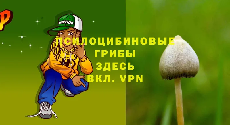 kraken как зайти  Бронницы  Галлюциногенные грибы Psilocybine cubensis 